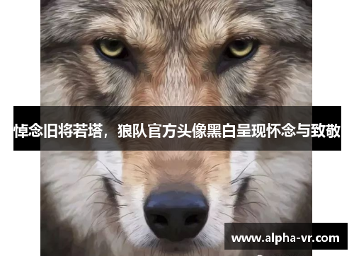 悼念旧将若塔,狼队官方头像黑白呈现怀念与致敬 悼念旧将若塔,狼队官方头像黑白呈现怀念与致敬