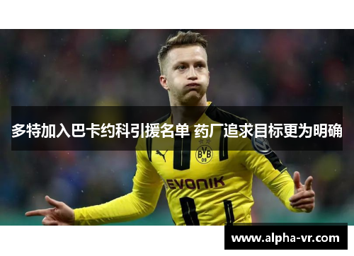 多特加入巴卡约科引援名单 药厂追求目标更为明确 多特加入巴卡约科引援名单 药厂追求目标更为明确