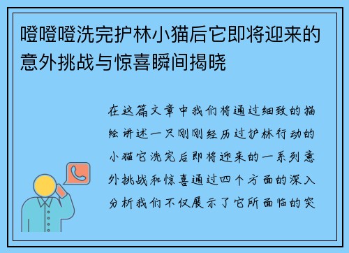 噔噔噔洗完护林小猫后它即将迎来的意外挑战与惊喜瞬间揭晓 噔噔噔洗完护林小猫后它即将迎来的意外挑战与惊喜瞬间揭晓